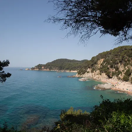 L'azure 4sup 4*