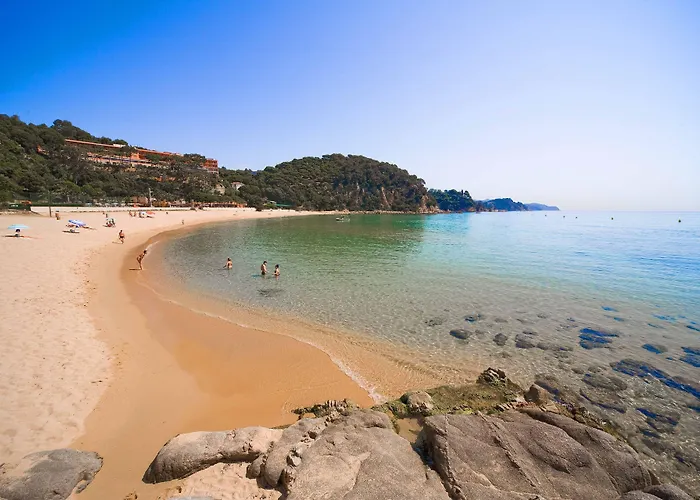 فندق L'azure 4* Sup